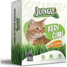Jungle Evcil Hayvan Kedi Çimi Kutulu (Fileli)