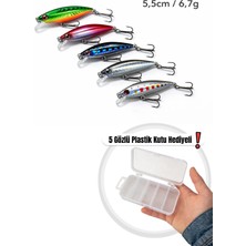 Arkhelais Minnow Rapala 5,5 cm 6,7 gr 5’li Paket Yapay Balık Yemi – Spin Olta ve Kıyı Atış