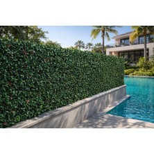 Can Çim Çit Yapraklı Çim Çit - %98 Kapatıcı - Tr'de Tek - Ultra Sık Dokulu - Yeni Ürün Seçenekli Ölçüler