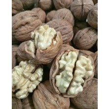 1 Kg. Yerli İnce Kabuklu Ceviz (Chandler)