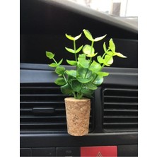 Özgürce Araç Klima Kokusu ve Havalandırma Aksesuarı, Ferah ve Tazeleştirici Etki