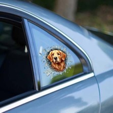 Renklime Fulcar Golden Araç Stickerı