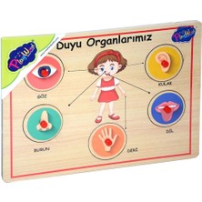 Renklime 166/167 Onyıl, Ahşap Tutmalı Organlar