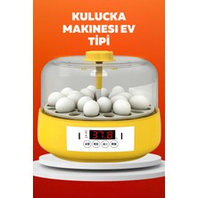 Datatek Ev Tipi Mini Kuluçka Makinesi – Civciv Çıkım Makinesi Otomatik