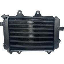 Bajaj Dominar 400 Radyatör