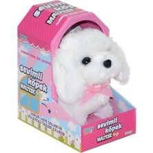 Renklime 47100 Sevimli Köpek Maltese