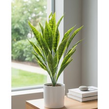 Yapay Çiçek Deryası Ev ve Iş Yeri Dekorasyon Önerisi Yapay Kılıç Çiçeği 75 cm