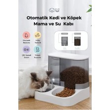 Renklime 2'si 1 Arada Otomatik Kedi Mama ve Su Kabı