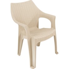 Norino Mandella Polo Rattan Koltuk Çölbeji