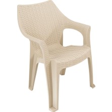 Norino Mandella Polo Rattan Koltuk (2 Adet) Çölbeji