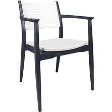 Norino Mandella Irmak Çift Renk Koltuk Gövde Antrasit- Oturma/sırt Beyaz