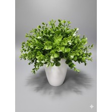 Çiçekmisin Beyaz Porselen Saksıda Yoğun Şimşir