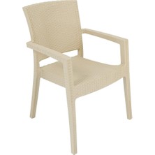 Norino Mandella Zeus Rattan Koltuk  (6 Adet) Çölbeji