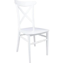 Norino Mandella Silver Sandalye D Modeli (2 Adet) Beyaz