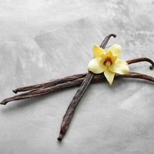 Artizan Mutfak Çubuk Vanilya Kek ve Pasta Kalıbı