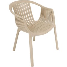 Norino Mandella Roma Koltuk  (6 Adet) Çölbeji