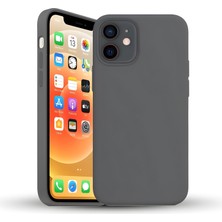 Bix iPhone 11 Silikon Kılıf Güçlü Koruma Darbe Emici Siyah Seramik Gri