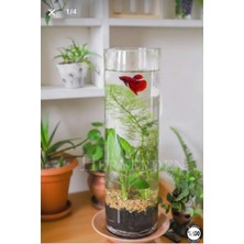 Heryerden El Imalati 50 cm El Işciliği Silindir Vazo 3 mm Cam Kalınlığında 1.sınıf