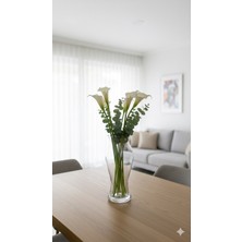 Gfsmore Şeffaf Cam Vazo Uzun 25.5 cm