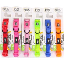 M-Pets Ally Paws Dog Collar Medıum 2CMX35-50CM