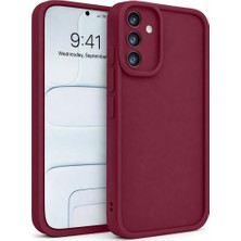Vissona Samsung Galaxy S24 Uyumlu Kamera Çıkıntılı Mat Silikon Telefon Kılıfı