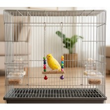 Majoris Zincirli Kuş Salıncağı