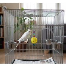 Majoris Çıngıraklı Sarkaç (Kuş Oyuncağı)