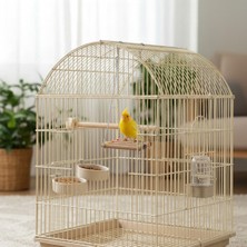 Majoris Kuş Köprü Salıncak