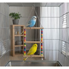 Majoris Ikili Kuş Salıncağı