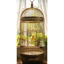 Majoris Tekli Kuş Salıncağı