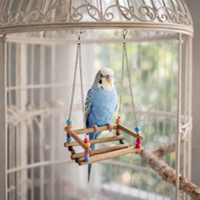 Majoris Gondol Kuş Salıncağı