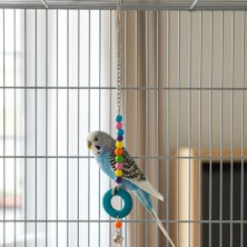 Majoris Tek Halkalı Sarkaç (Kuş Oyuncak)