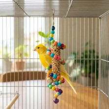 Majoris Üzüm Salkımı Kuş Oyuncağı