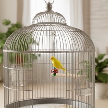 Majoris Nazar Boncuklu Kuş Sarkacı