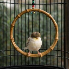 Majoris Bambu Lüks Kuş Salıncağı