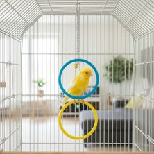 Majoris Ikili Büyük Plastik Halka (Kuş Oyuncak)