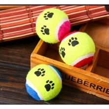 Zenvia At Getir Köpek Eğitim Topu ZNV-EVVN3263