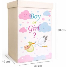Yuşa Pack Bebek Cinsiyeti Belirleme Kutusu