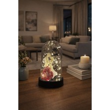 Novatech İnovasyon Fanus Içinde Gül, Kalp ve Çift Figürlü Peri LED Dekoratif Işık Ev Dekorasyonu Sevgililer Günü Doğum Günü Hediyesi