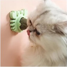 Zenvia Yengeç Kedi Otu Oyun Topu ZNV325-ETT