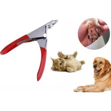 Zenvia Kedi Köpek Giyotin Tırnak Makası ZNV325-ETT