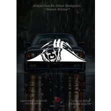 Sensei Sticker Araç Sticker - Motor Sticker - Kolay Uygulama - Yapıştırma Klavuzu