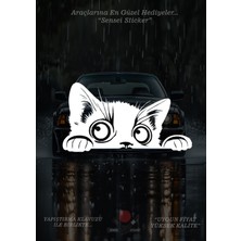 Sensei Sticker Araç Sticker - Motor Sticker - Kolay Uygulama - Yapıştırma Klavuzu