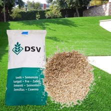Dsv Çim Tohumu 6'lı Karışım 250 Gram