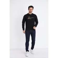 Zekora Göğüs ve Kolda Işlemesi