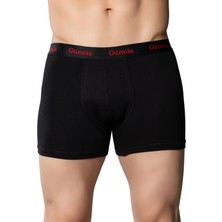Gümüş 3074 12'li Erkek Likralı Spor Boxer