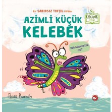 Tp Azimli Küçük Kelebek