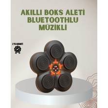 Tp Bluetoothlu Akıllı Boks Antrenman Cihazı Işıklı Hedefli Kardiyo ve Fitness Aleti - Lisinya