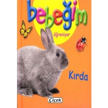 Tp Bebeğim Öğreniyor - Kırda