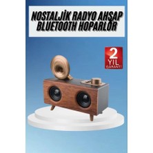Tp Buğz Gramafon Radyo Bluetooth Hoparlör Nostaljik Radyo Fm Radyo